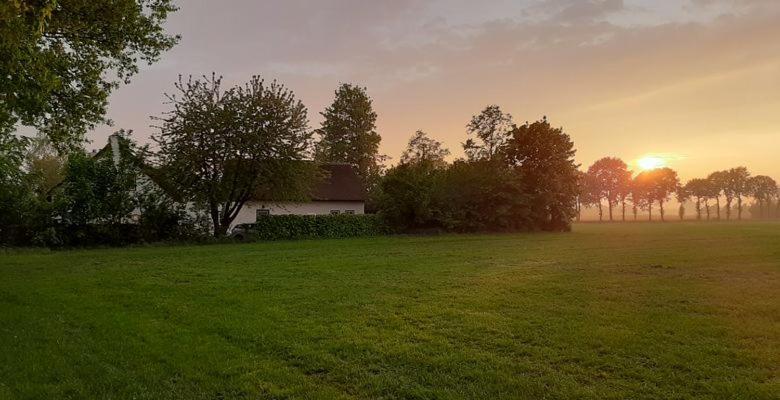 Guesthouse Rijsbergen_Zundert Ngoại thất bức ảnh